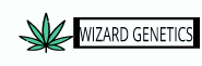 Wizard Genetics